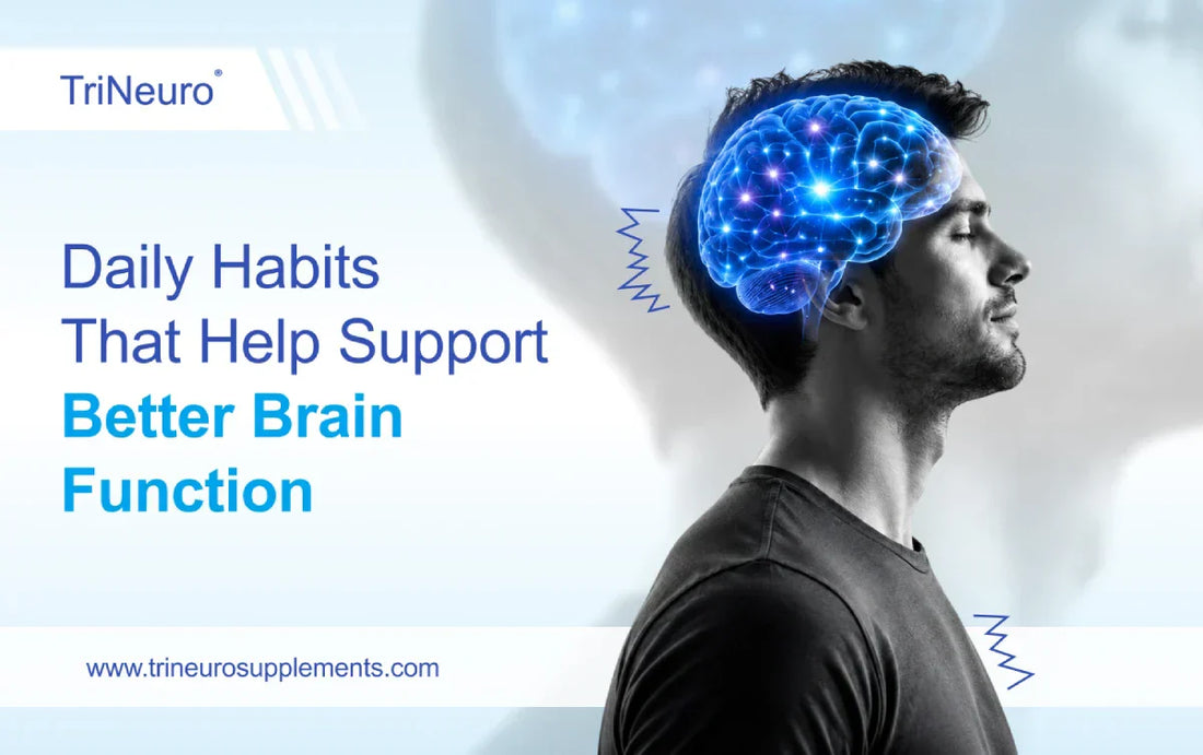 Daily Habits That Help Support Better Brain Function