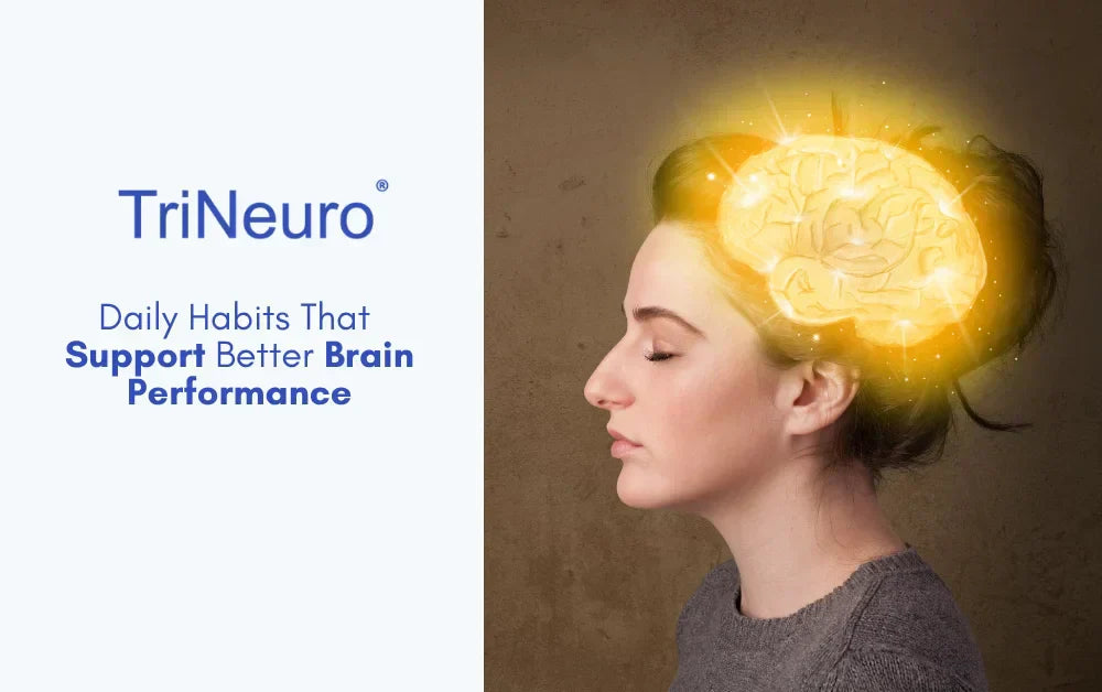 Daily Habits That Support Better Brain Performance