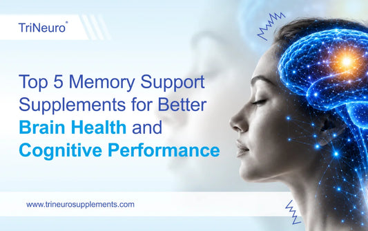Top 5 Memory Support Supplements for Better Brain Health and Cognitive Performance