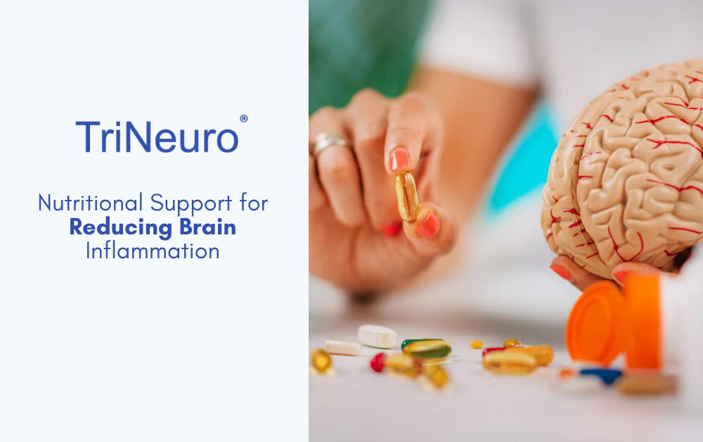 Nutritional Support for Reducing Brain Inflammation