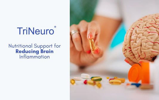 Nutritional Support for Reducing Brain Inflammation