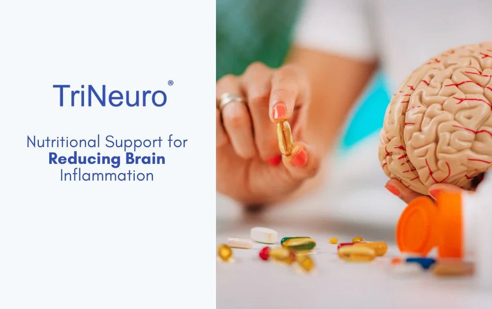 Nutritional Support for Reducing Brain Inflammation