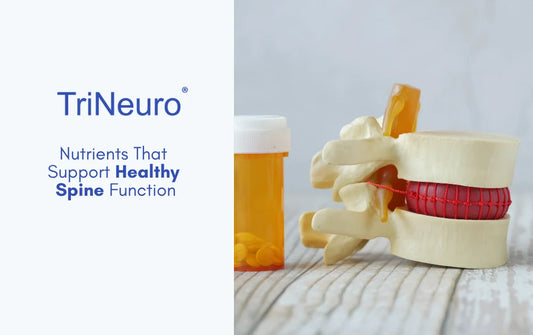 Nutrients That Support Healthy Spine Function