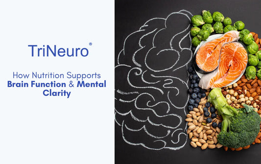 How Nutrition Supports Brain Function & Mental Clarity