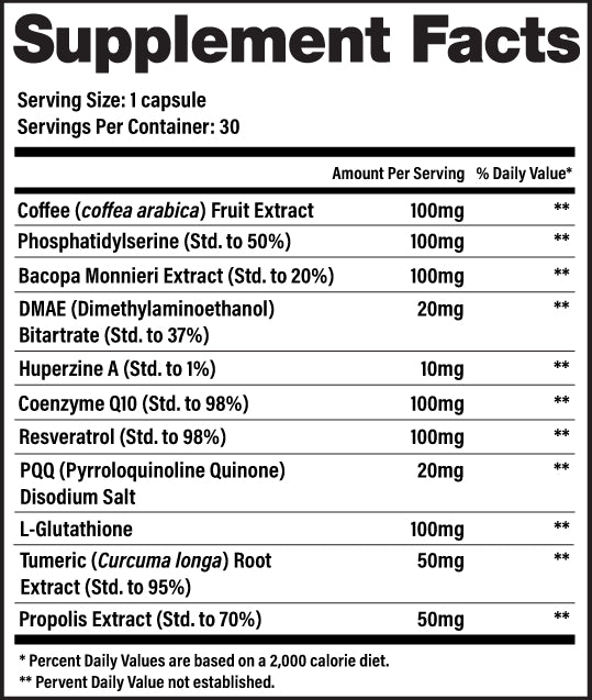 Brain 30 - SFP.jpg__PID:06781588-1d0e-46ec-be14-f1d378905d09